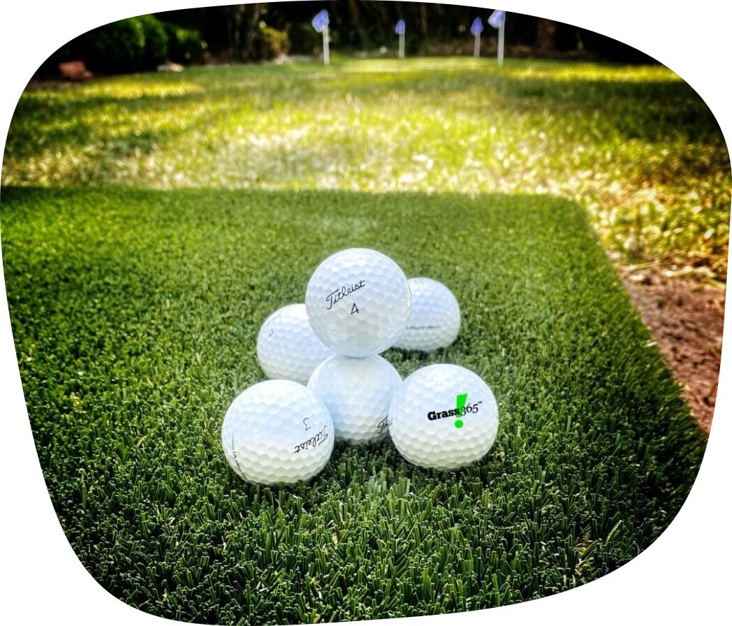 Interested in becoming a Grass365 franchise?