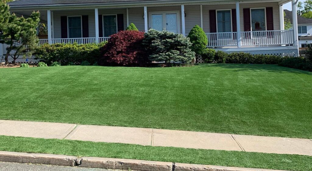 frontyard2