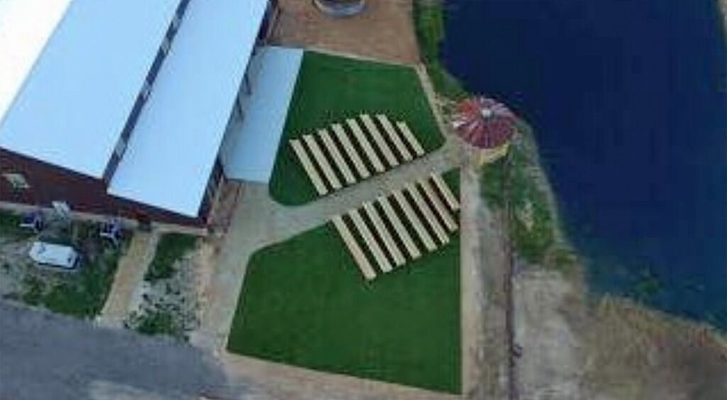 artificial grass dallas