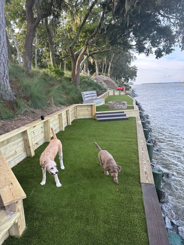 dog turf hilton head
