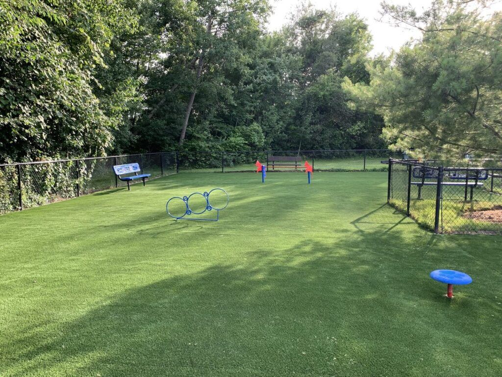 Dog turf play area Boston