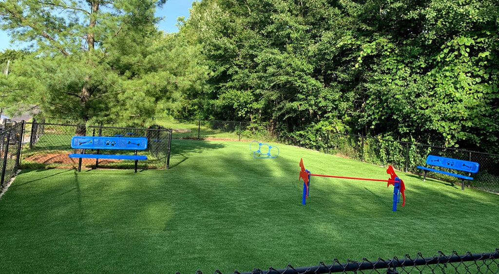 Boston commercial dog lawns