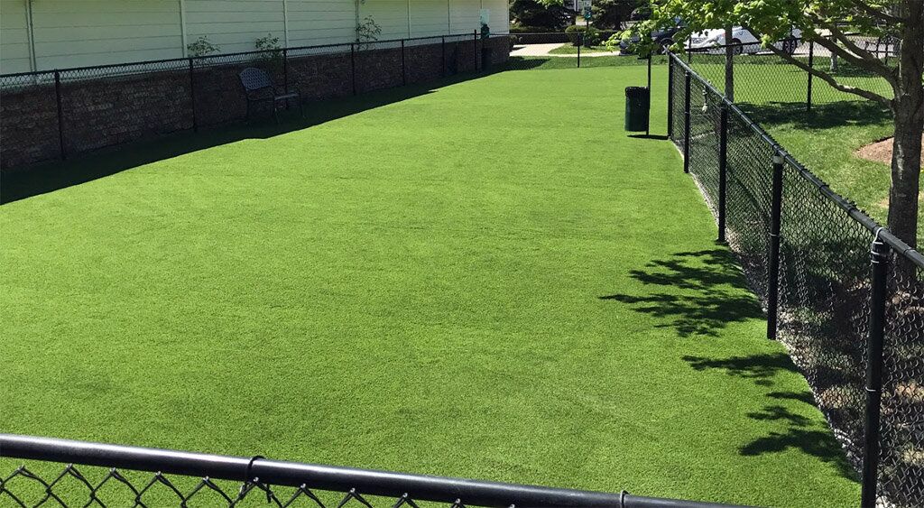Artificial grass dog play area