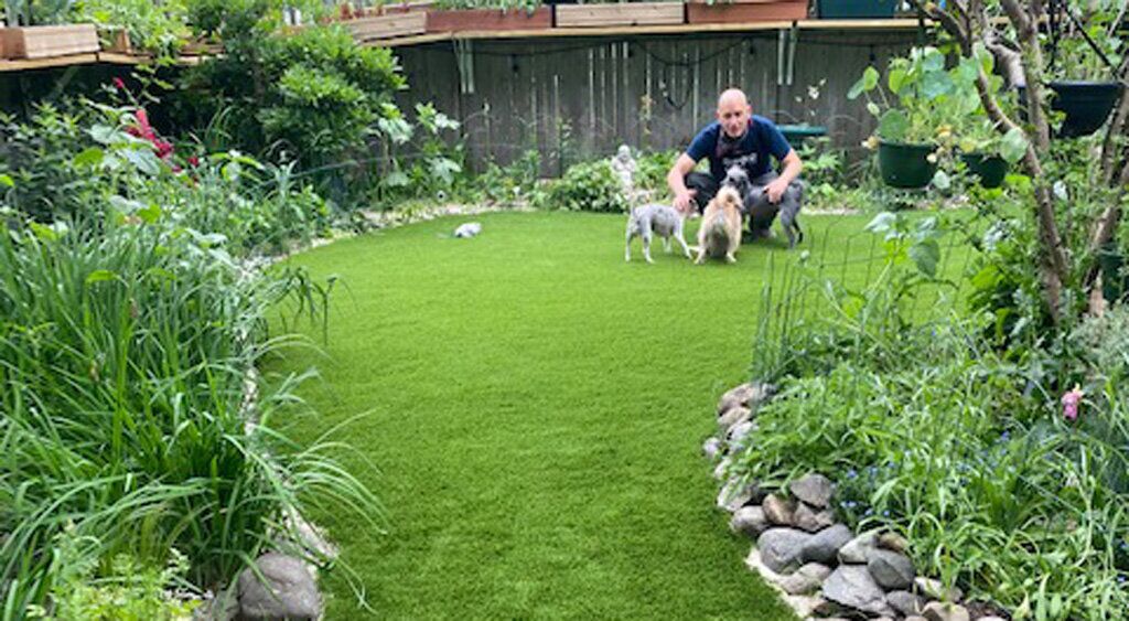 Synthetic grass pet play area
